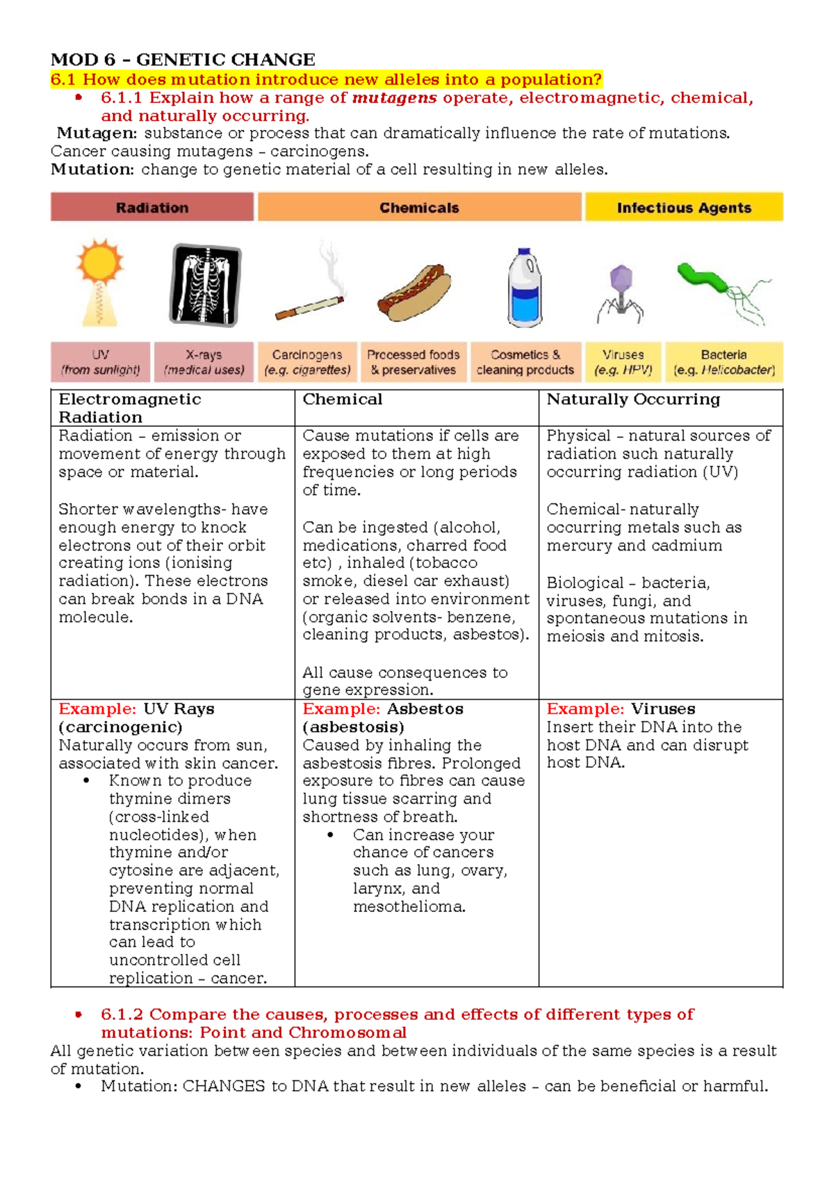 Genetic Change: Understanding Mutations and Biotechnology Applications ...