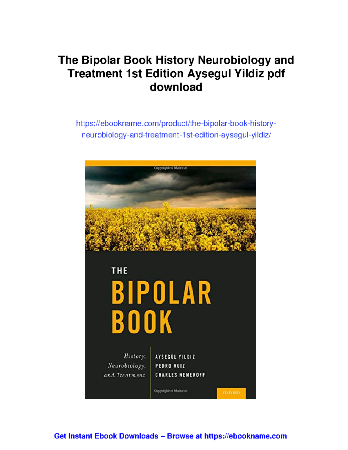Bipolar Disorder: History, Neurobiology, and Treatment - 1st Edition ...