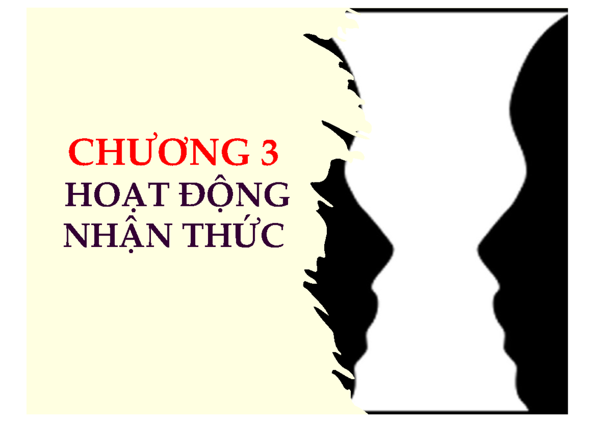 Chương 3: Hoạt Động Nhận Thức - Cảm Giác và Tri Giác V3 - Studocu