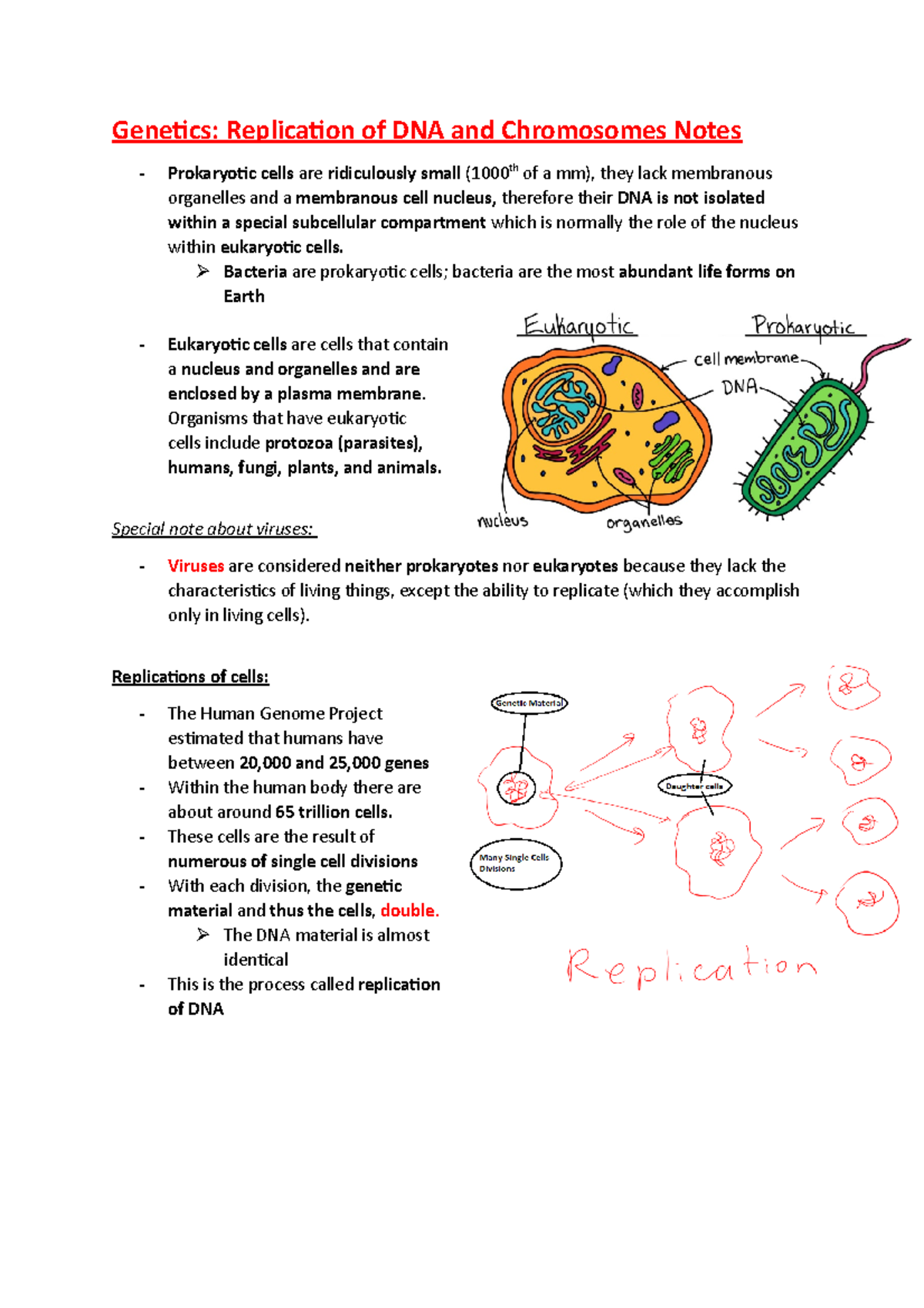 Life Science 1 - DNA & Chromosome Replication Exam Notes - Studocu