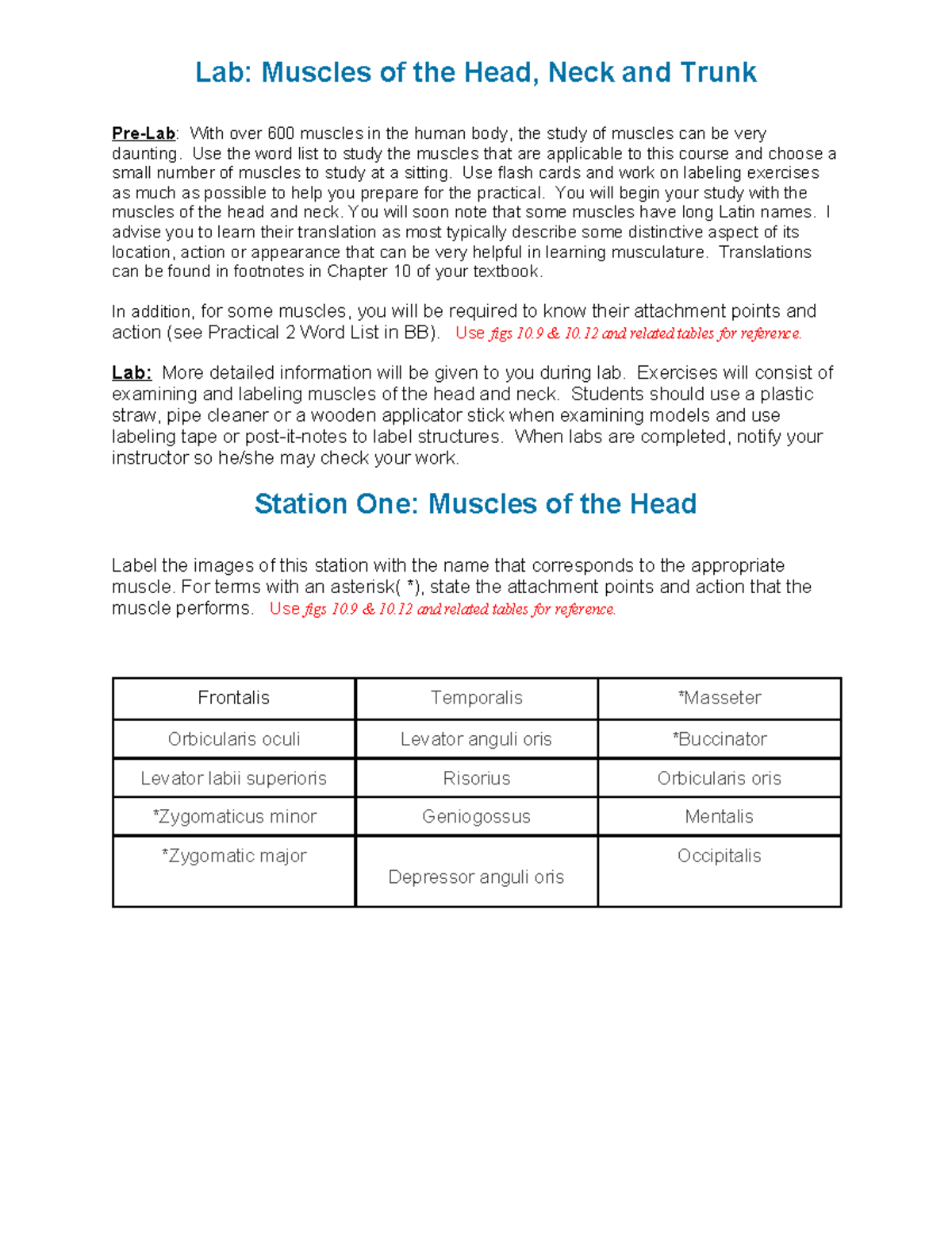 Lab: Muscles of the Head, Neck and Trunk - Studocu