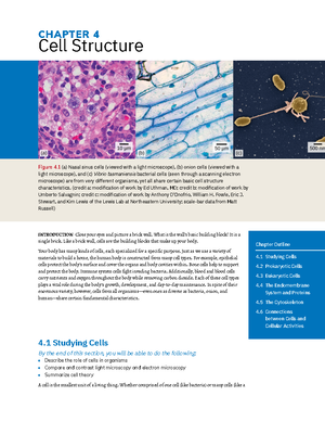 Biology 101: Understanding Scientific Writing and Structure - CHAPTER 1 ...