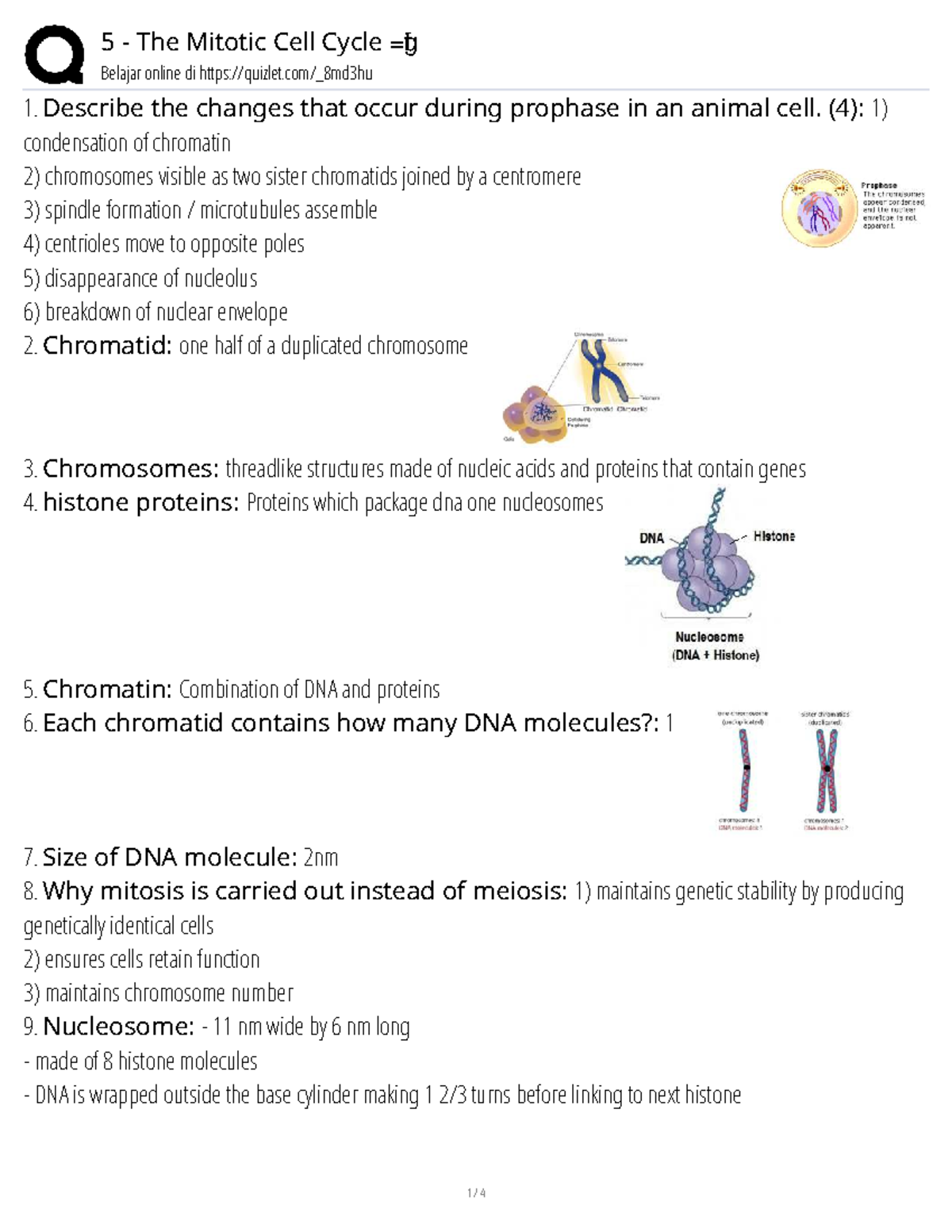 5 The Mitotic Cell Cycle: Prophase Changes and Mitosis Overview - Studocu