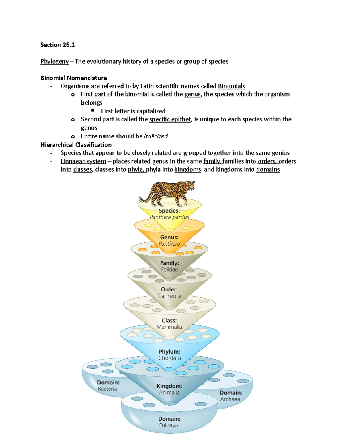 Chapter 26 - Understanding Phylogenies and the Tree of Life - Studocu