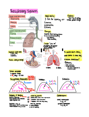 [Solved] In this assignment you will create a flowchart to explain the ...