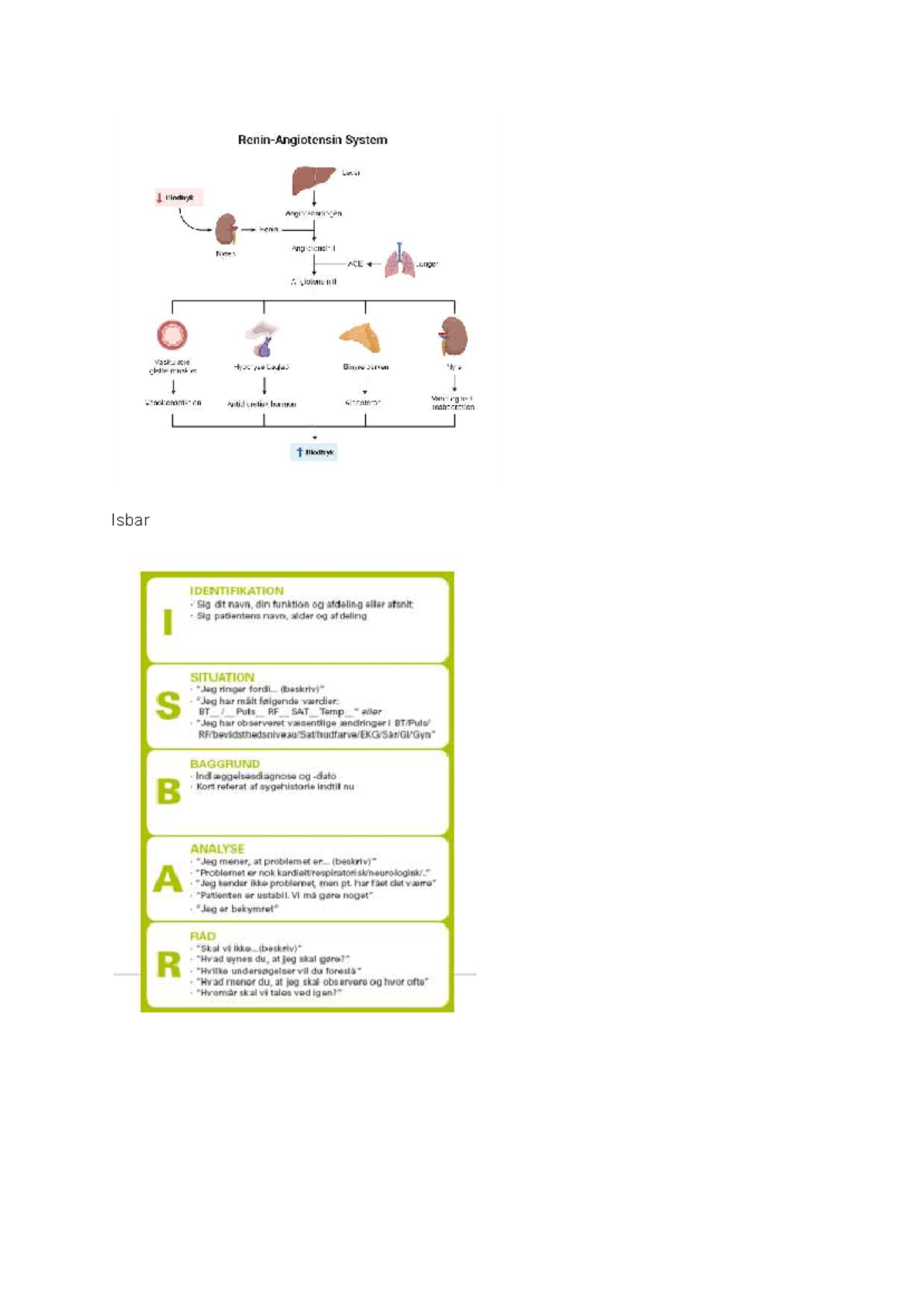 Isbar - Identifikation, Situation, Baggrund, Analyse, Rekommendation ...