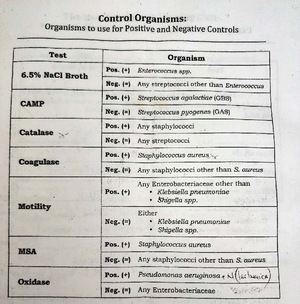 Common GPC - Useful lecture notes for Flow charting - EnterocoCcUSSPp ...