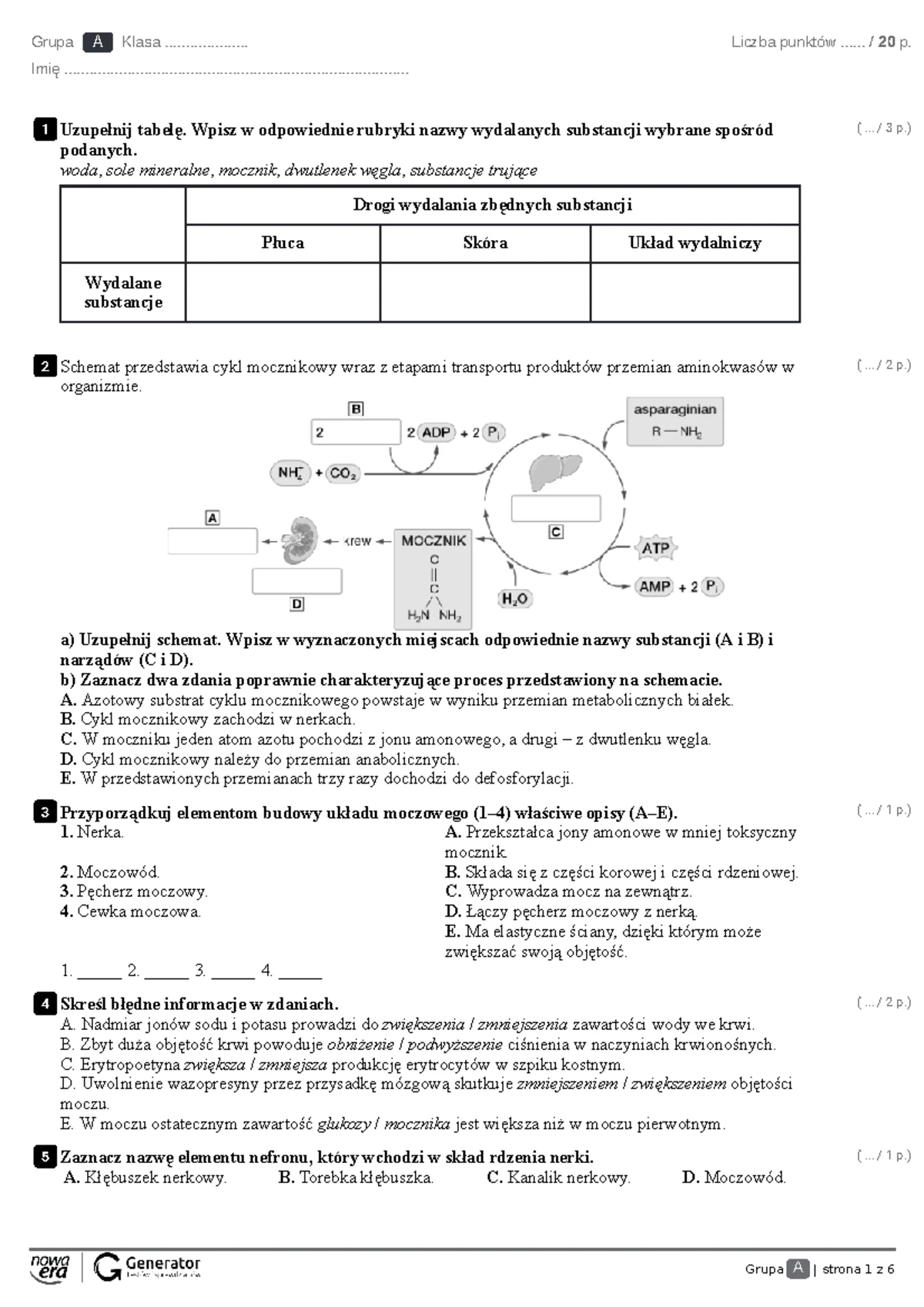 Układ Dokrewny Sprawdzian Biologia Na Czasie 2 www.studocu.com