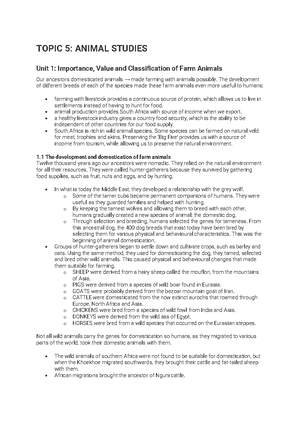 Assignment Example- Developing Performance Management Strategies-Level ...