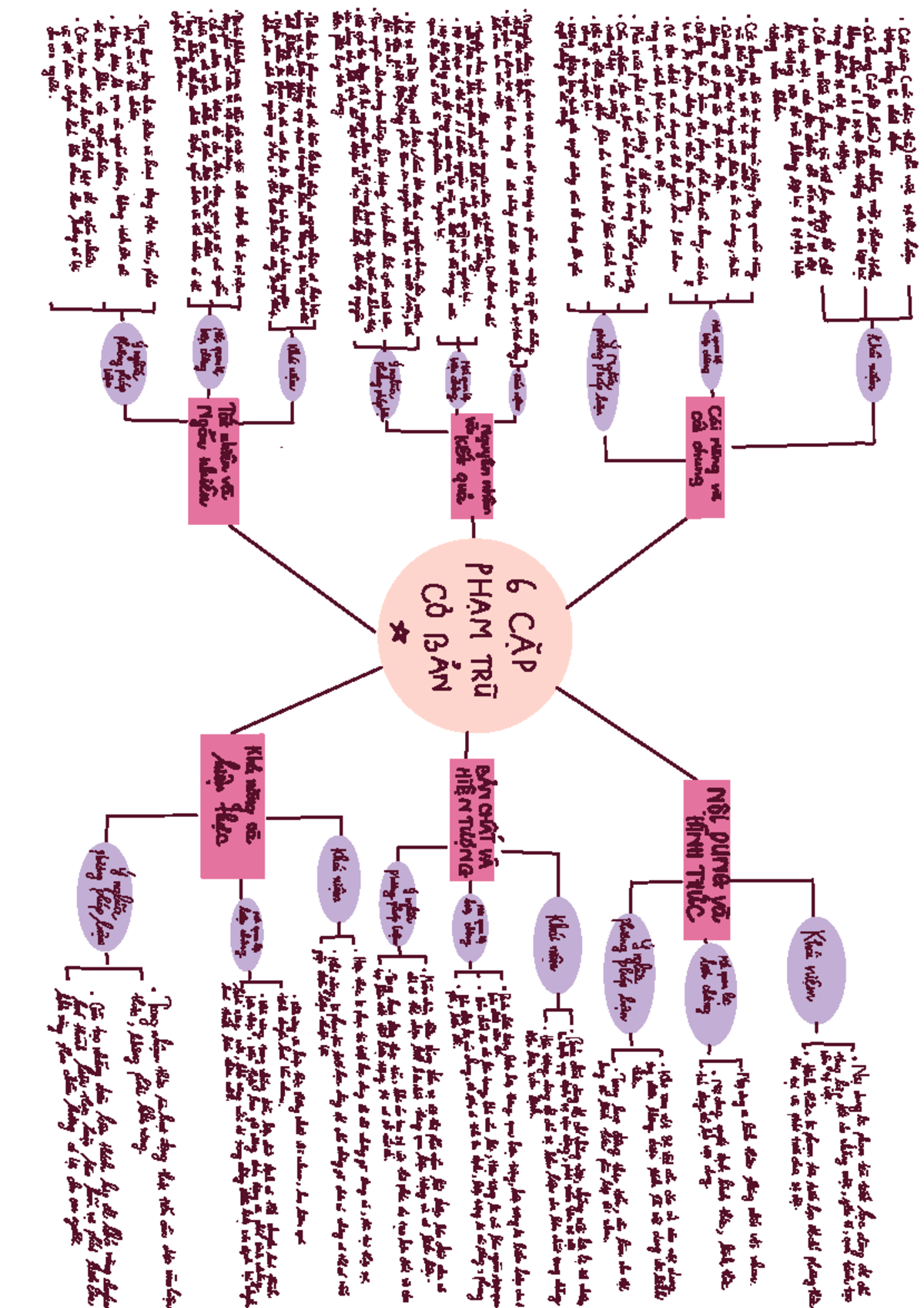 Final Exam Study Notes for Course 11256477 - Studocu