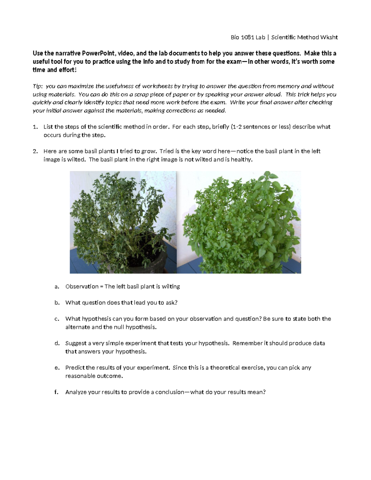 Bio 1081 Lab | Scientific Method Worksheet for Exam Prep - Studocu