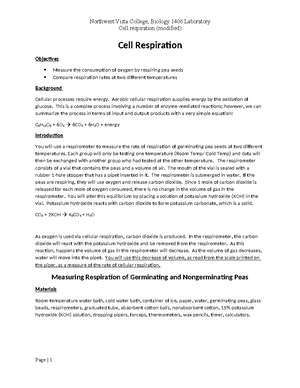 Lab+8+Photosynthesis copy - Photosynthesis 1 of 8 Name: Title ...