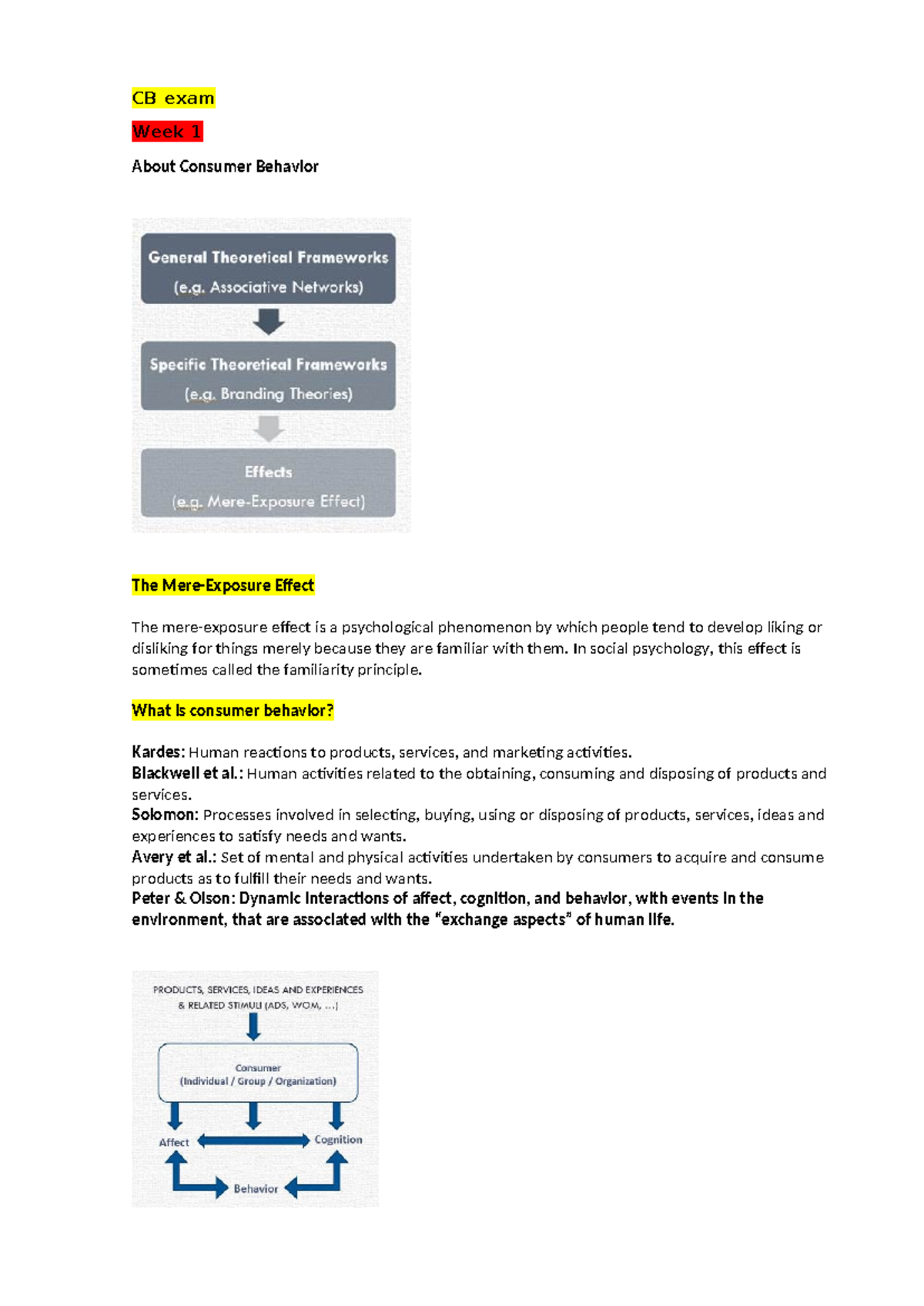 CB Exam - RSM - Comprehensive Study Guide for Consumer Behavior ...