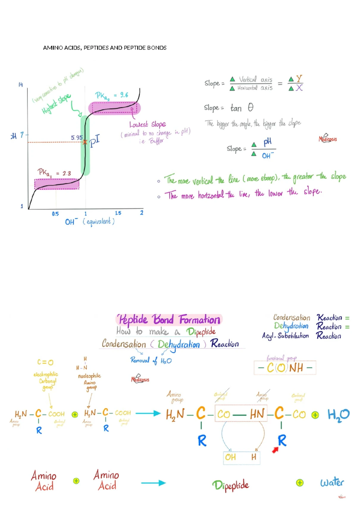 Lecture 6.5 Notes on DNA Sequencing - GTS 251 - Studocu