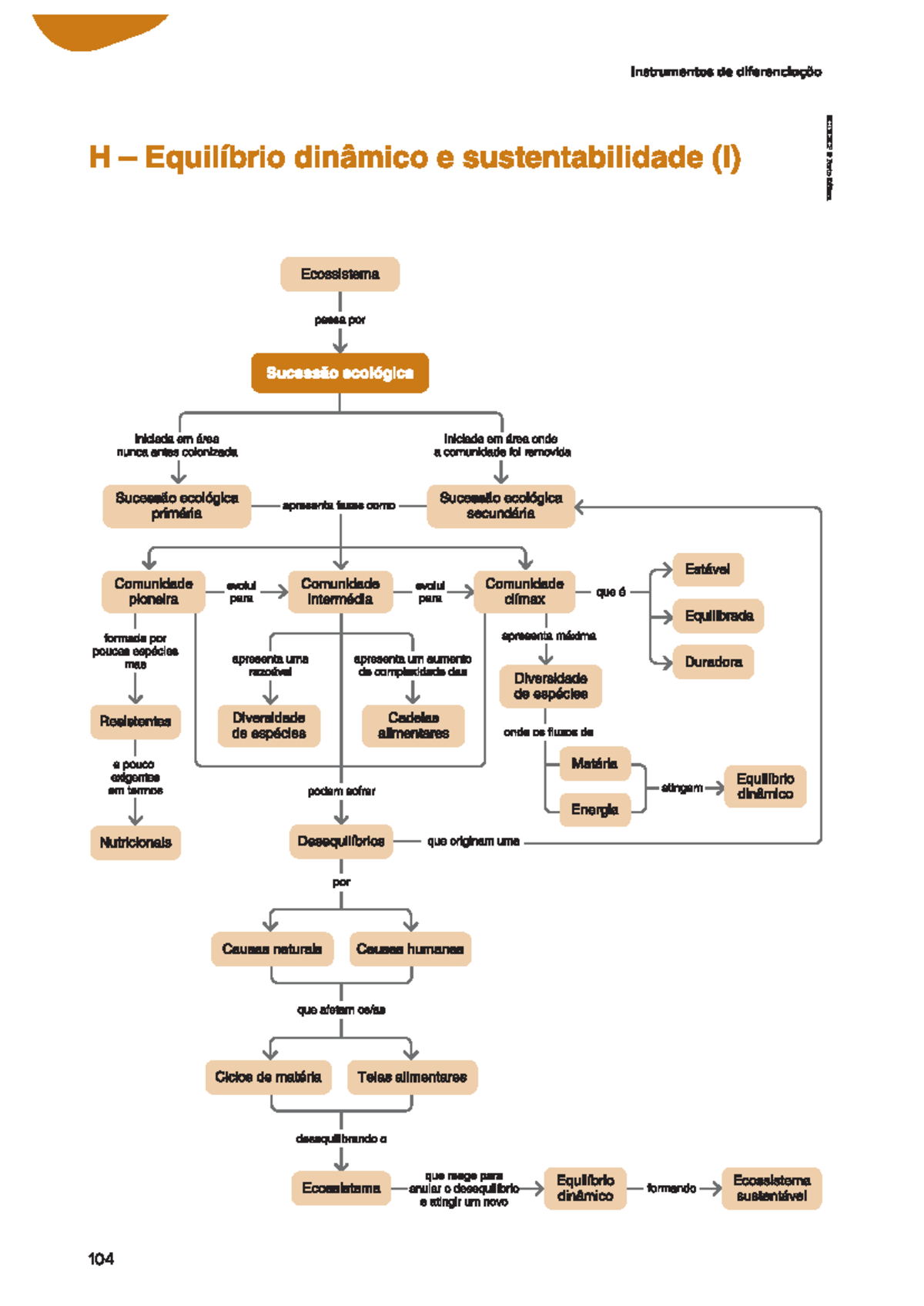 Ectic 8 mapa ideias h1 - Esquemas resumo - Instrumentos de ...