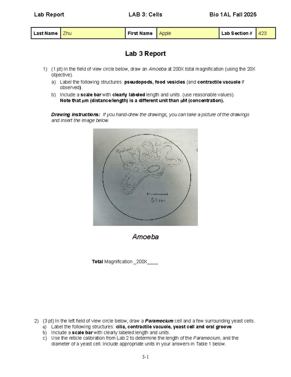 Lab 3 Report: Bio 1AL Fall 2025 - Cellular Structures & Streaming Rates ...