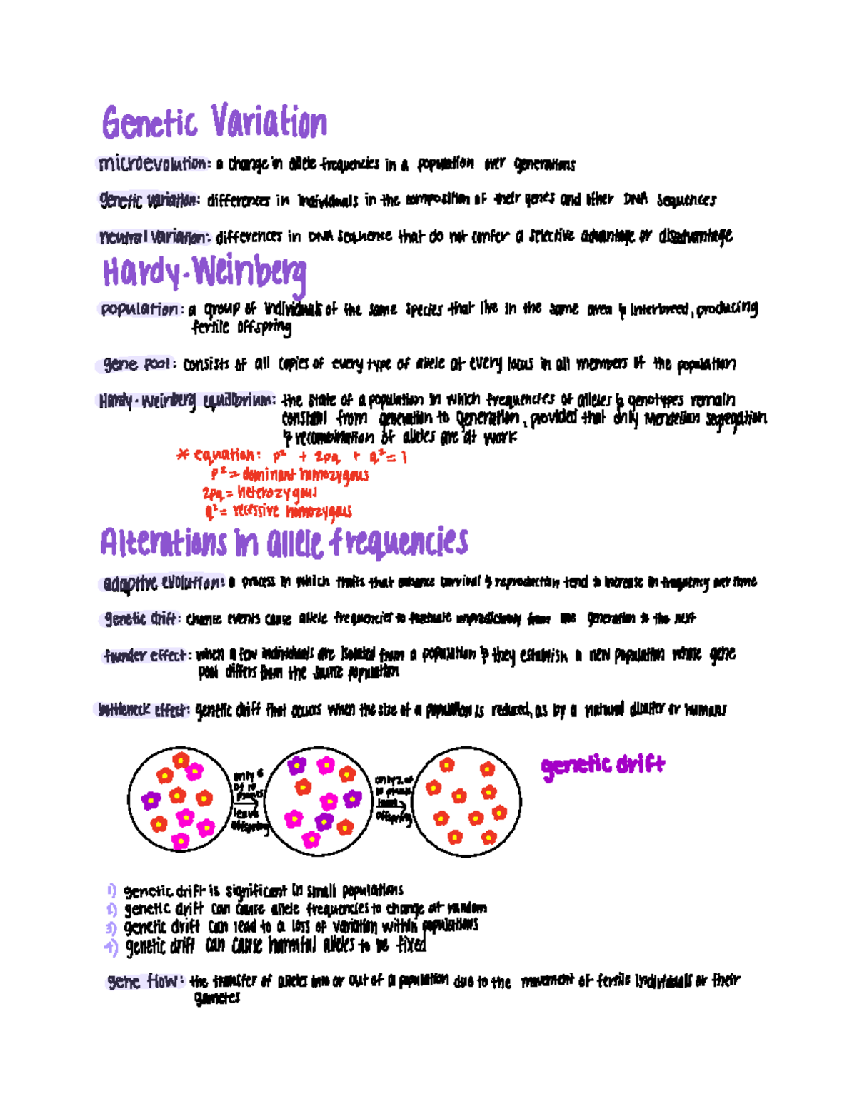 BIO 105 Chapter 23: Genetic Variation and Evolution Concepts - Studocu