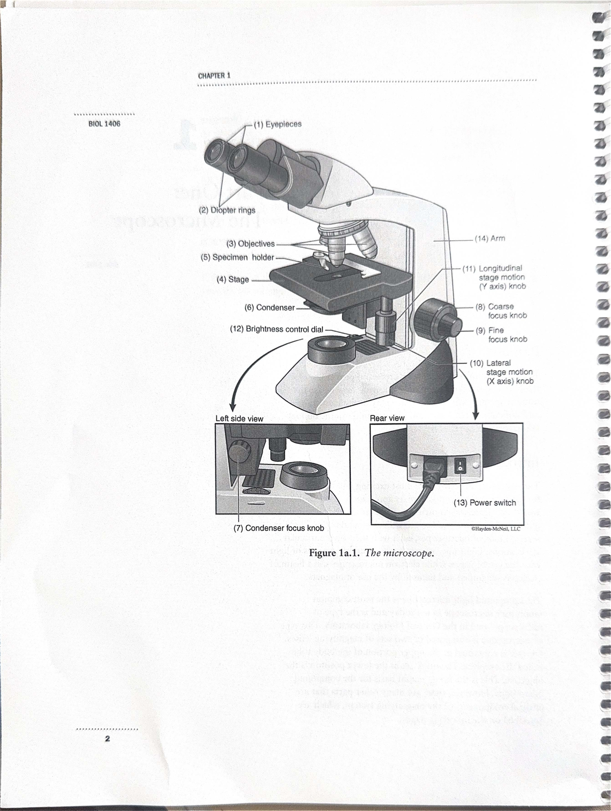 Microscope Components Overview - CHAPTER 1 BIOL 1406 - Studocu