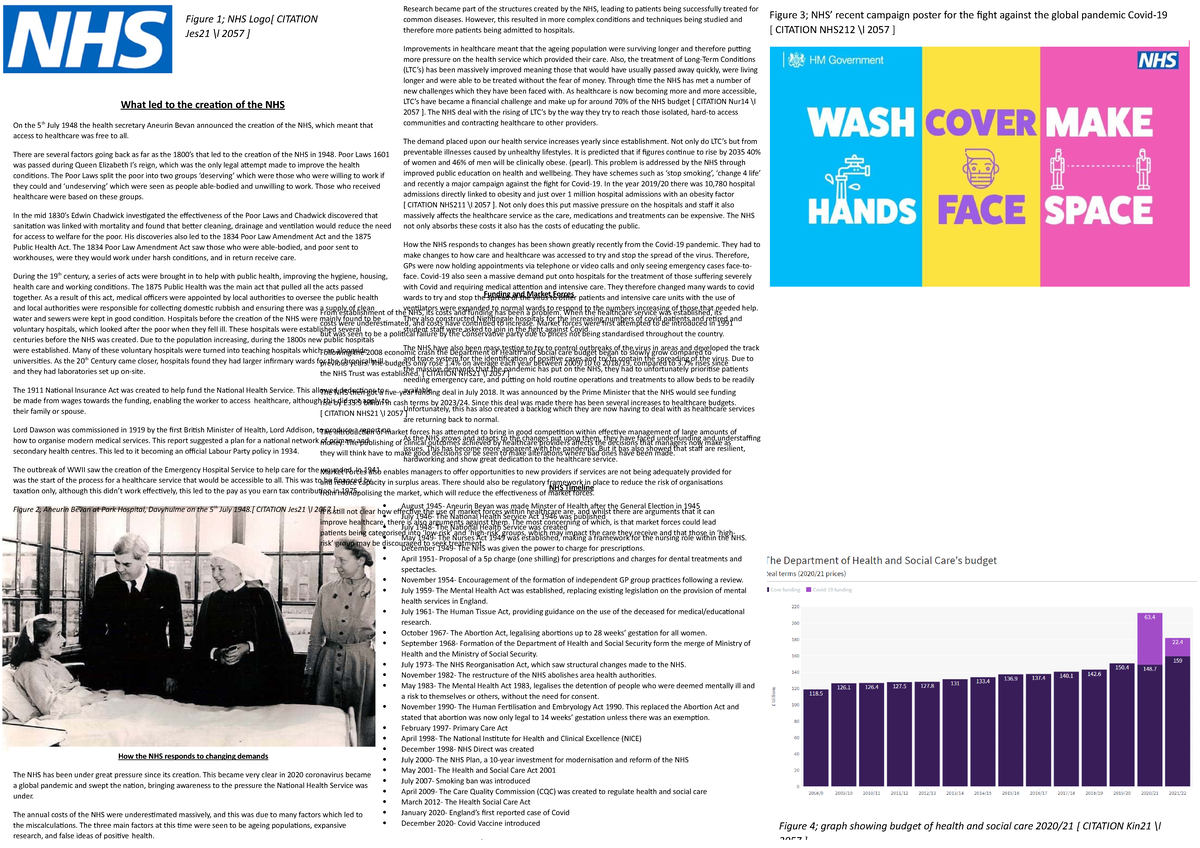 NHS Case Study 85499: Examining the Impact of Market Forces & Covid-19 ...