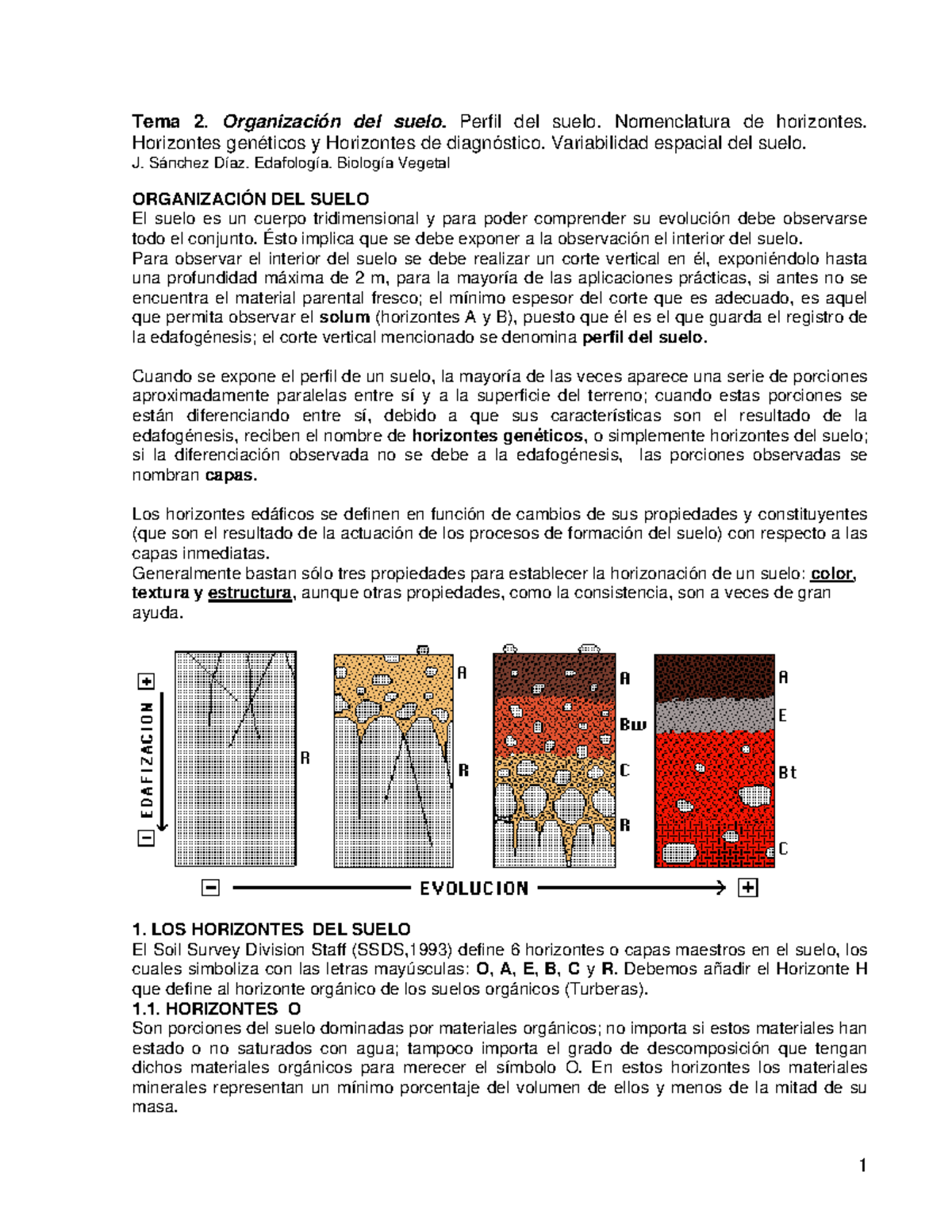 Tema 2: Organización del Suelo y Nomenclatura de Horizontes - Studocu