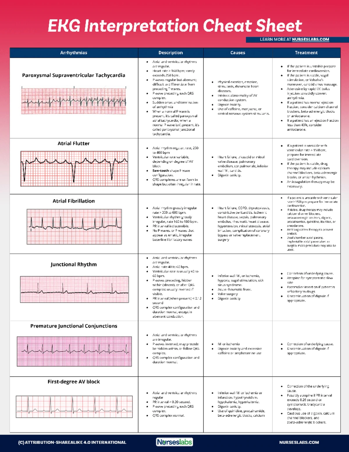 Anatomy & Physiology Terminology: Terms Quizzes for Chapters 3-5 - Studocu