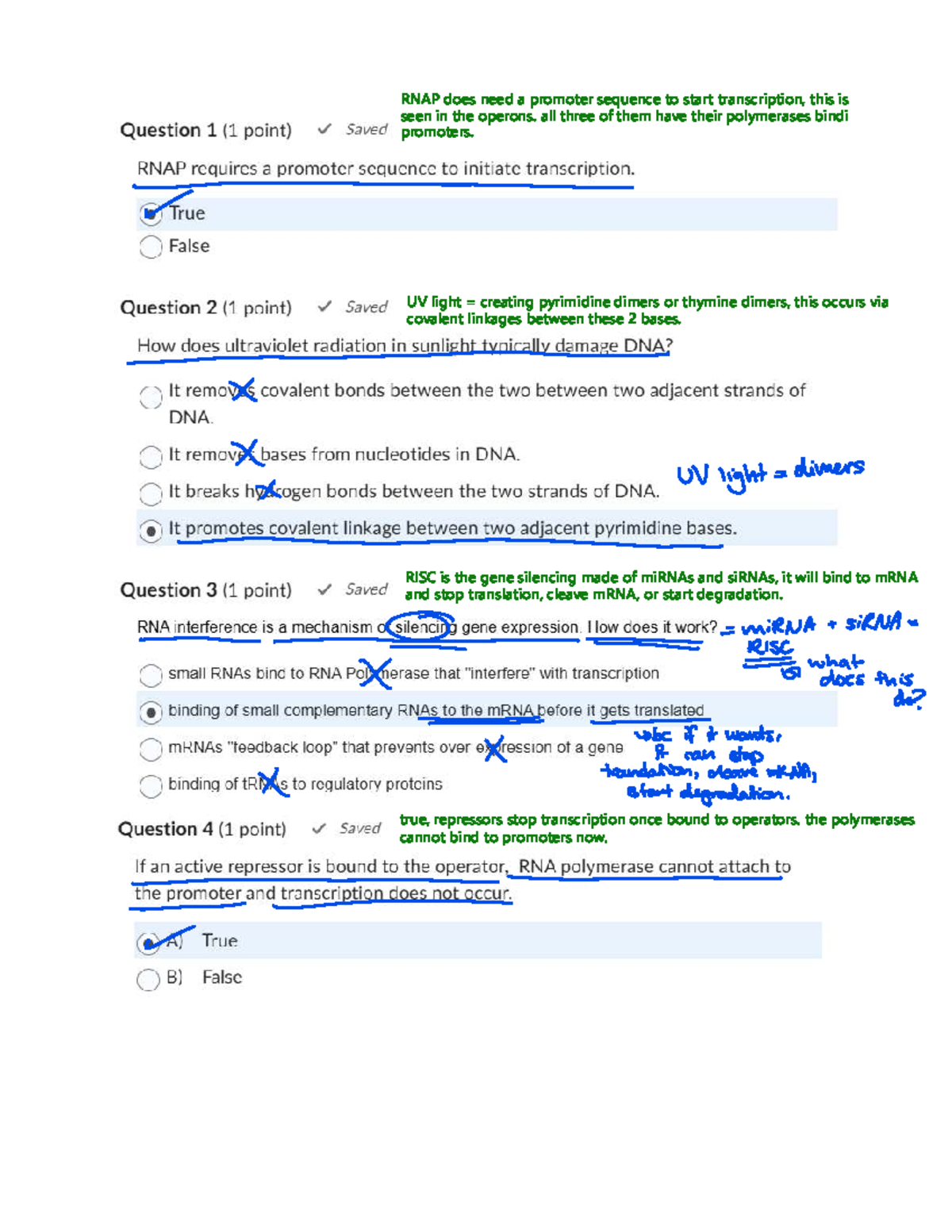 Final Exam Review: RNAP, Transcription, and Gene Regulation (BIO 308 ...