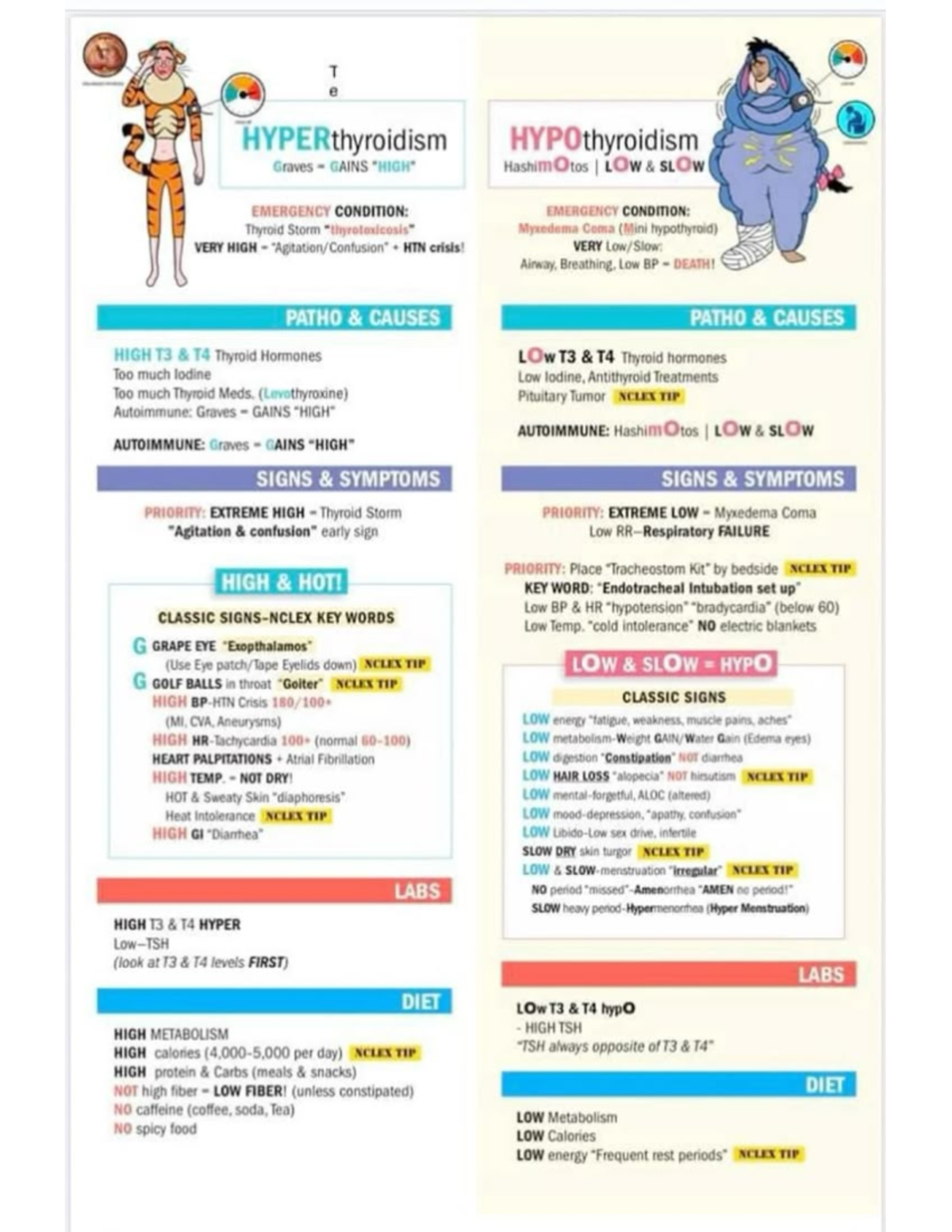endocrine notes - T e HYPERthyroidism HYPOthyroidism Graves GAINS ...