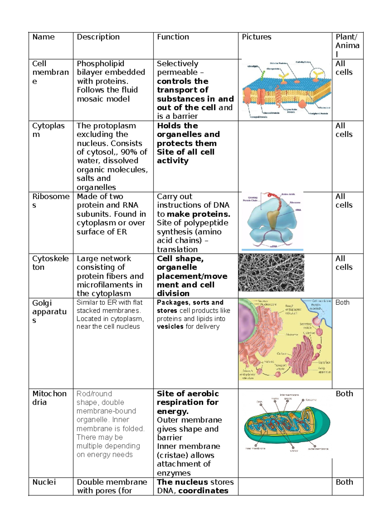 Eukaryotic Animal Cell Organelles And Their Functions