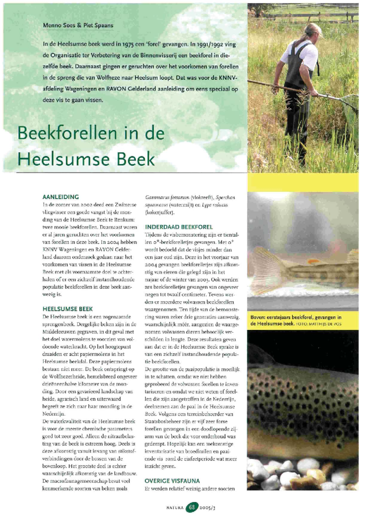 Onderzoek naar Beekforellen in de Heelsumse Beek (NAT 2005 102003 001 ...