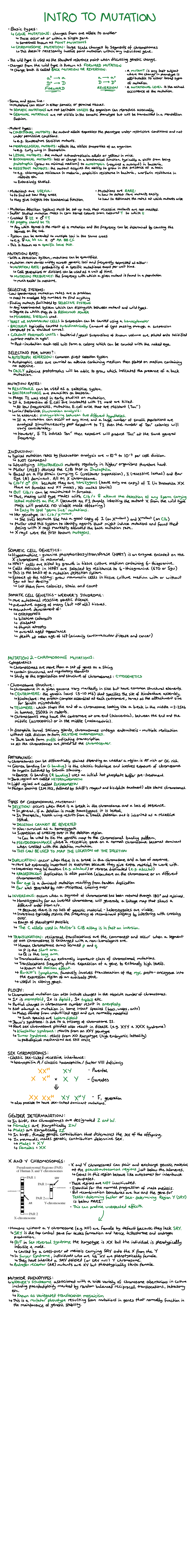 Intro TO Mutation - BY150 - Studocu