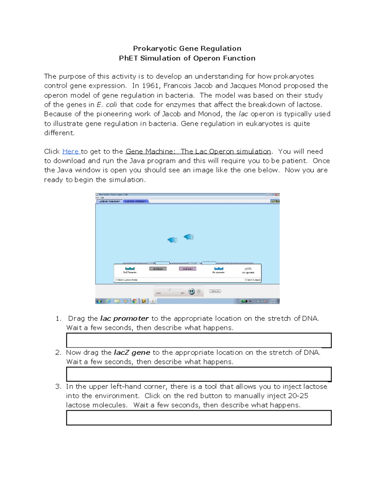 Prokaryotic Gene Regulation: PhET Simulation of Lac Operon Function ...