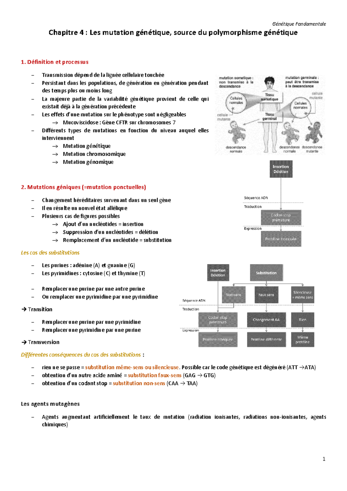 Chapitre 4 - Mutations Génétique et Polymorphisme dans la Génétique ...