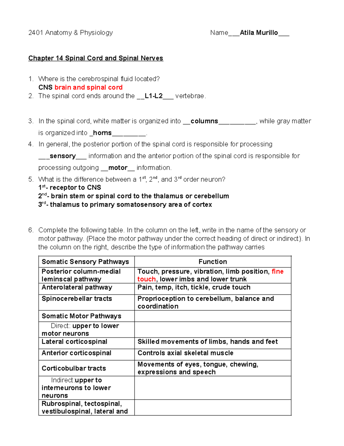 Final Exam Review for 2401 Anatomy & Physiology - Chapter 14: Spinal ...