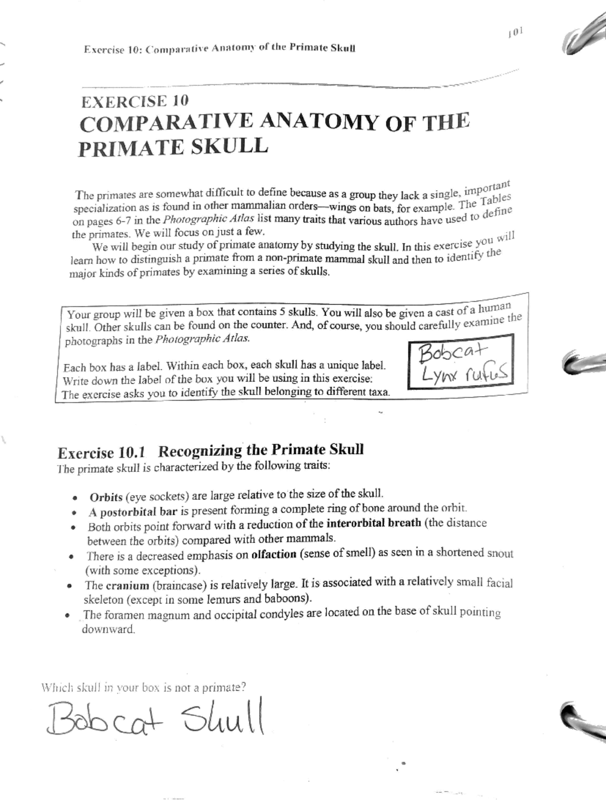 Lab Assignment for 2023-04-03: Tasks 16-20 Overview - Studocu
