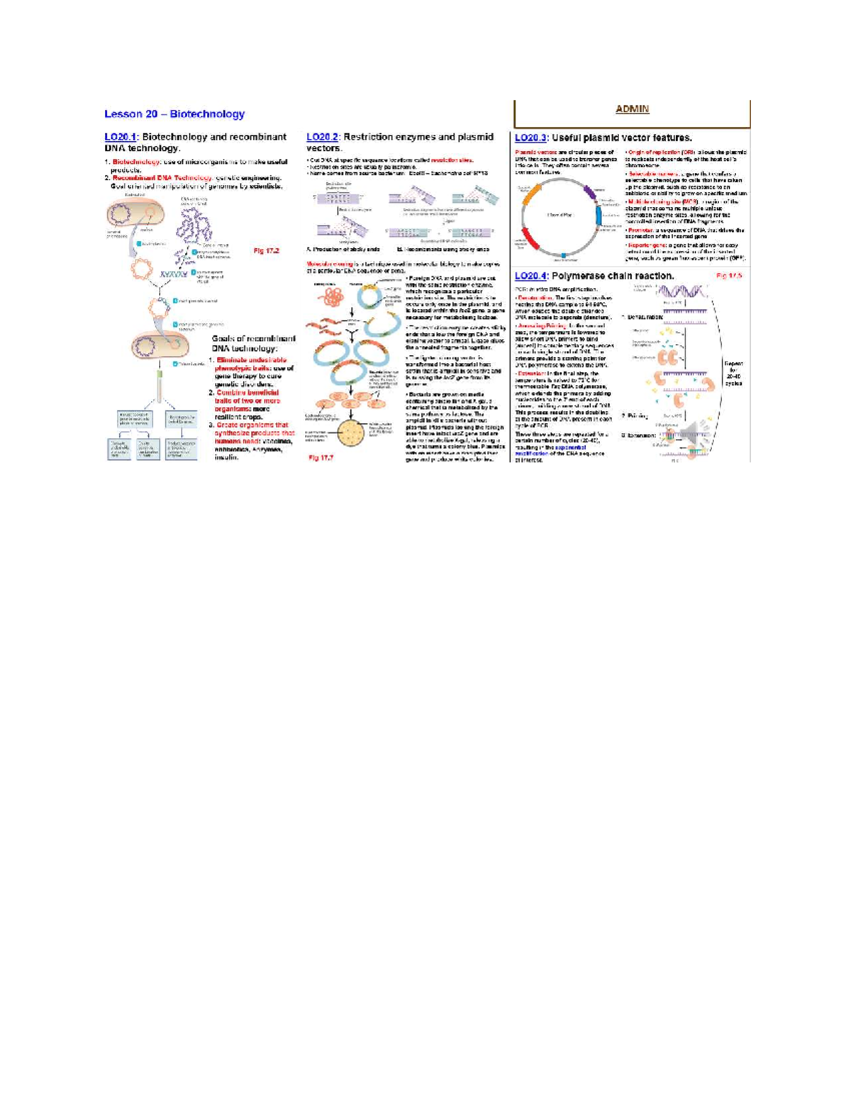 XYZ 101 Final Exam Study Guide: Biotechnology & Recombinant DNA - Studocu