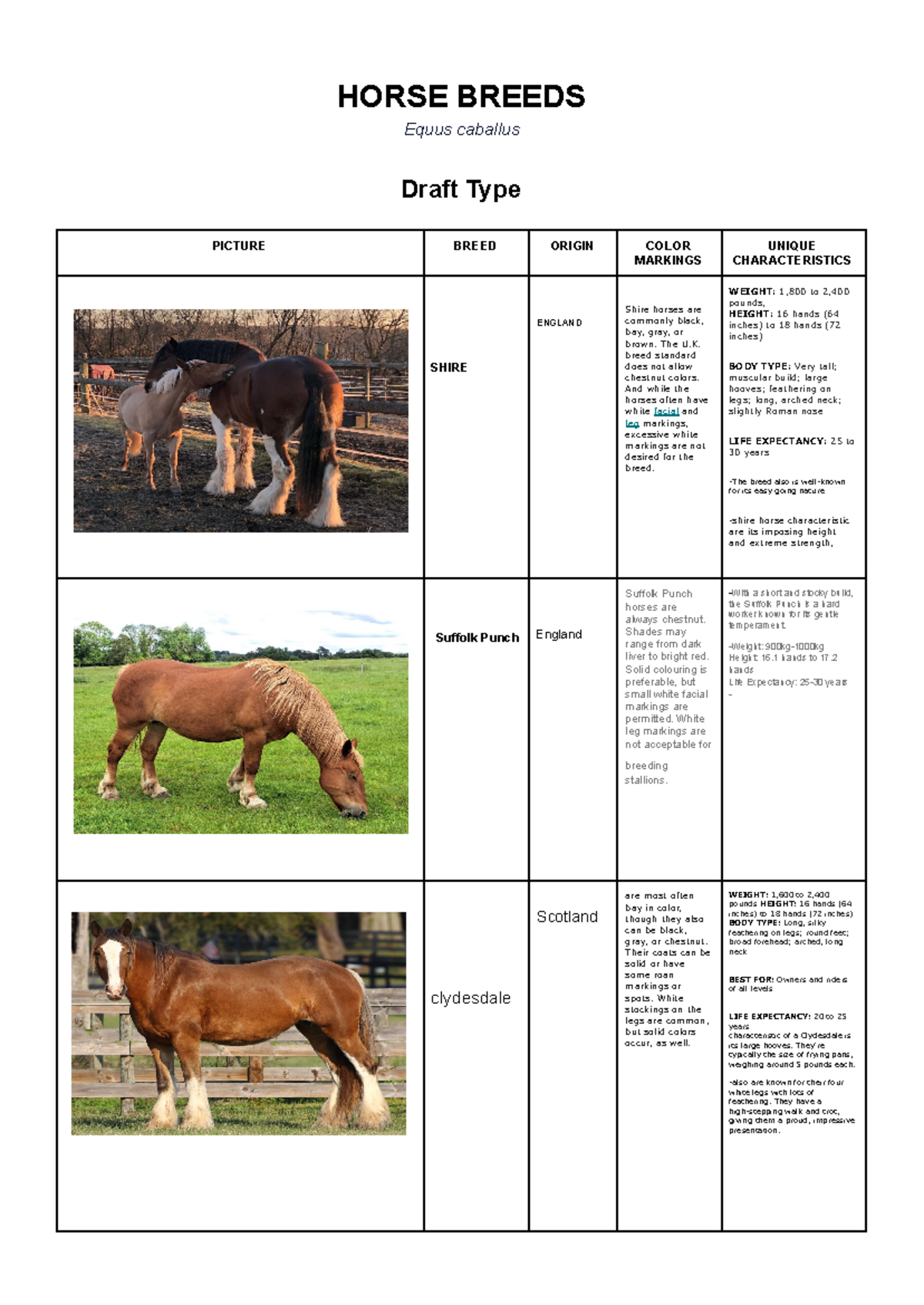 Horse Breeds Reference: Equus caballus (Draft Type) and More - Studocu