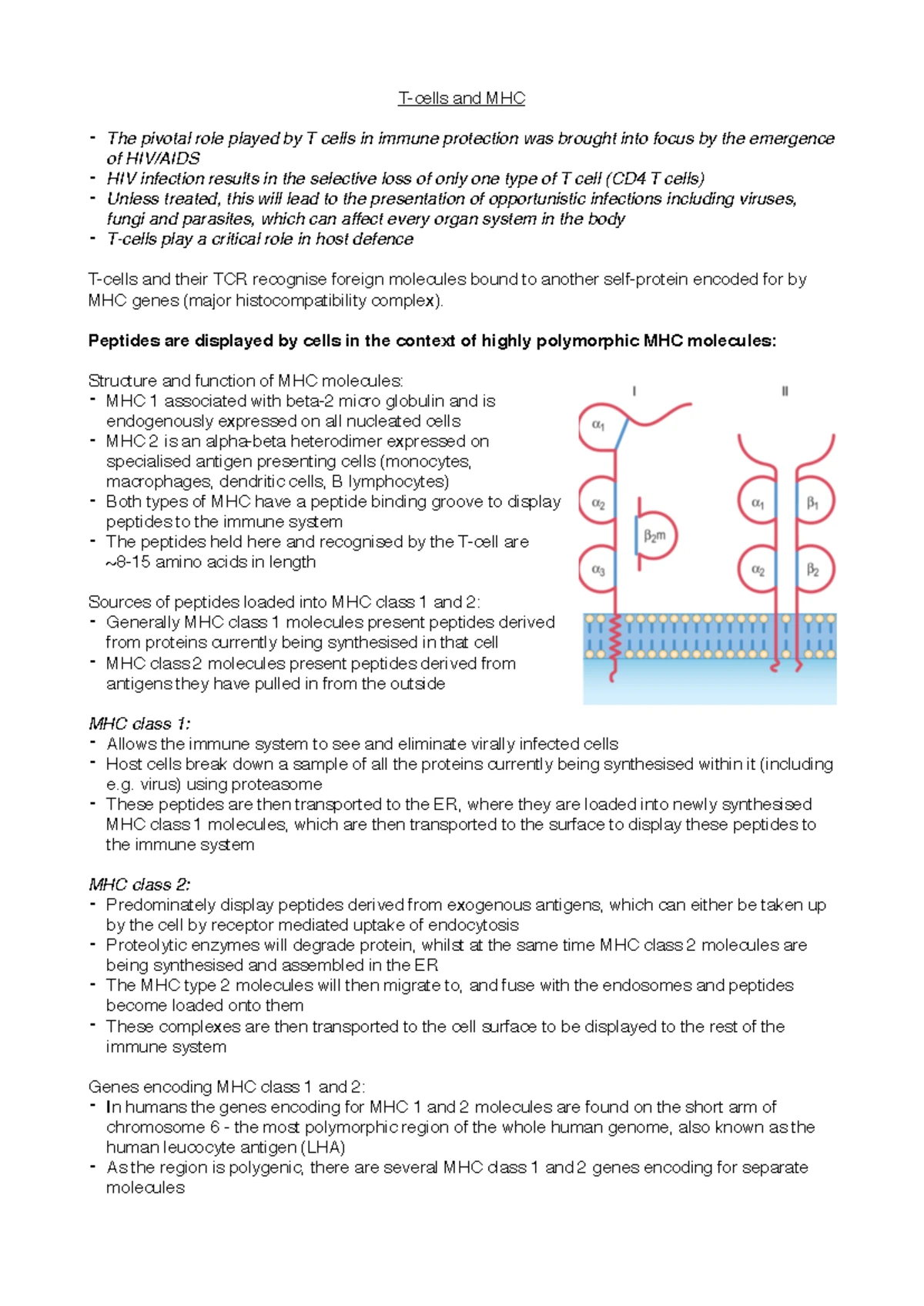 Lecture 4: Understanding MHC and Antigen Presentation Concepts - Studocu