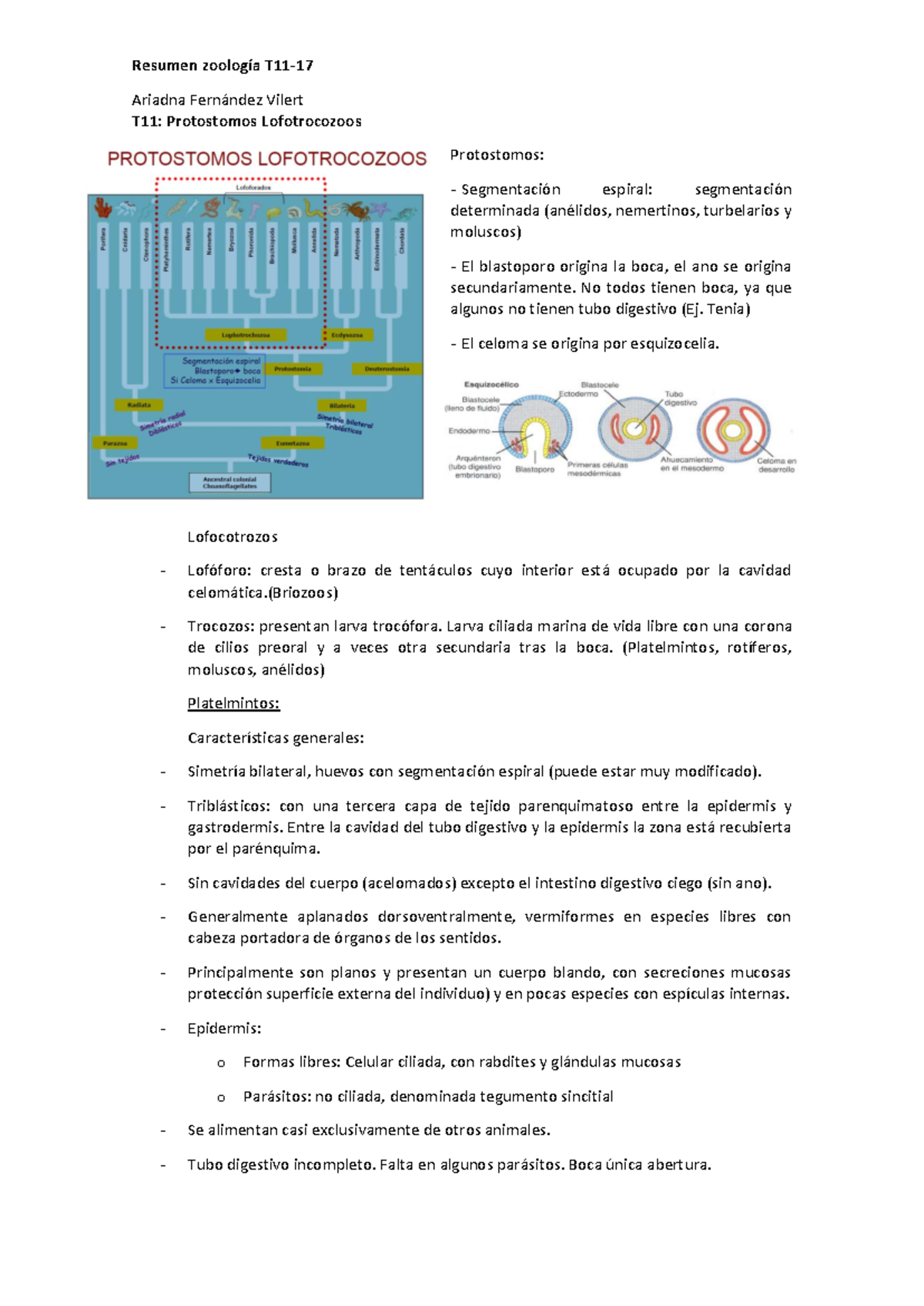 Resumen de Zoología T11: Protostomos y Lofotrocozoos - Studocu, image size:1200x1696