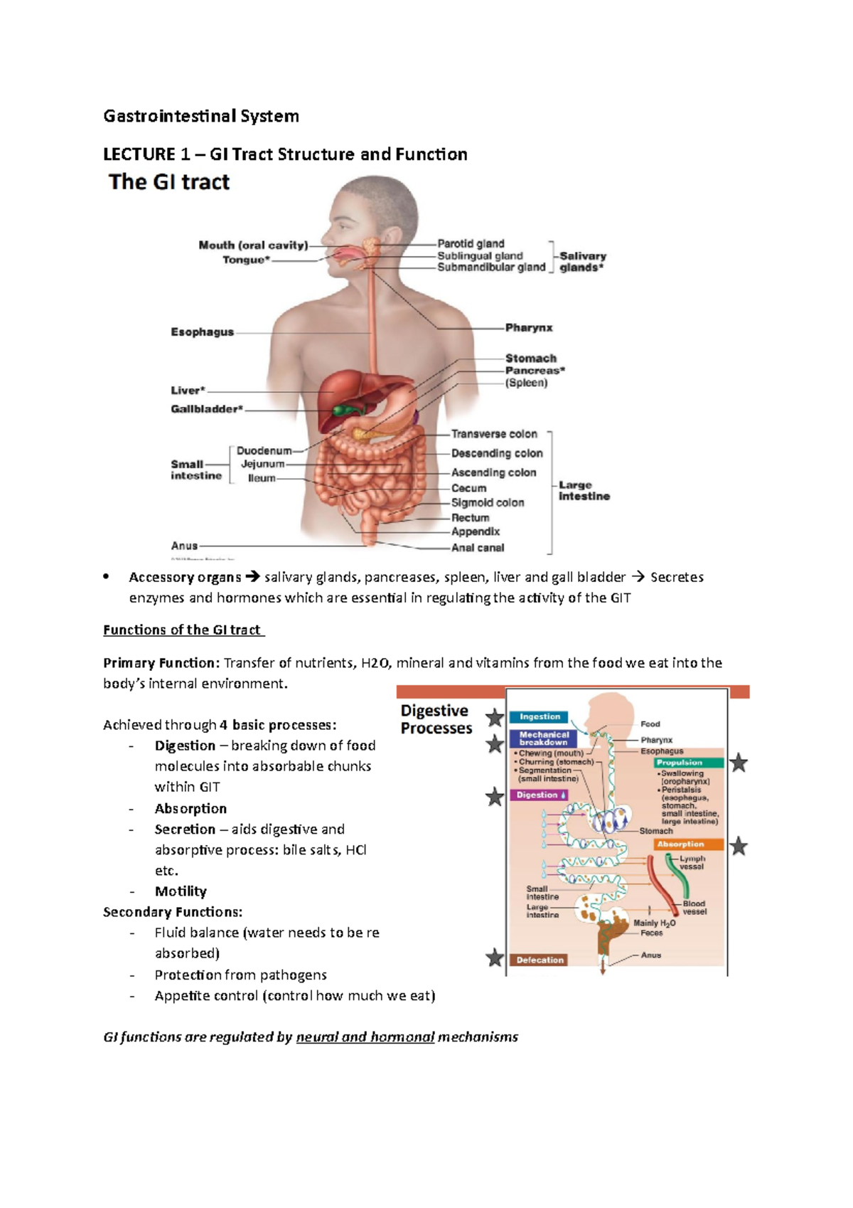 Gastrointestinal System - Gastrointestinal System LECTURE 1 – GI Tract ...