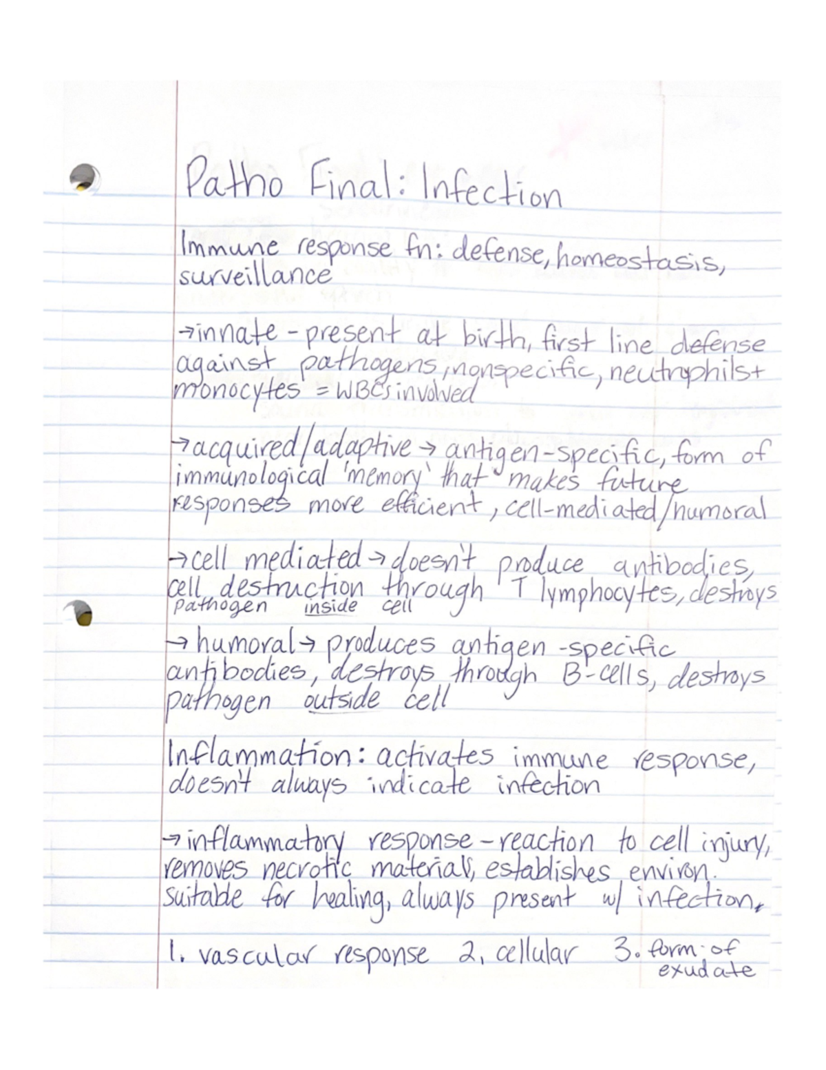 Infection and eye:ear notes - Patho Final: Infection surveillance ...