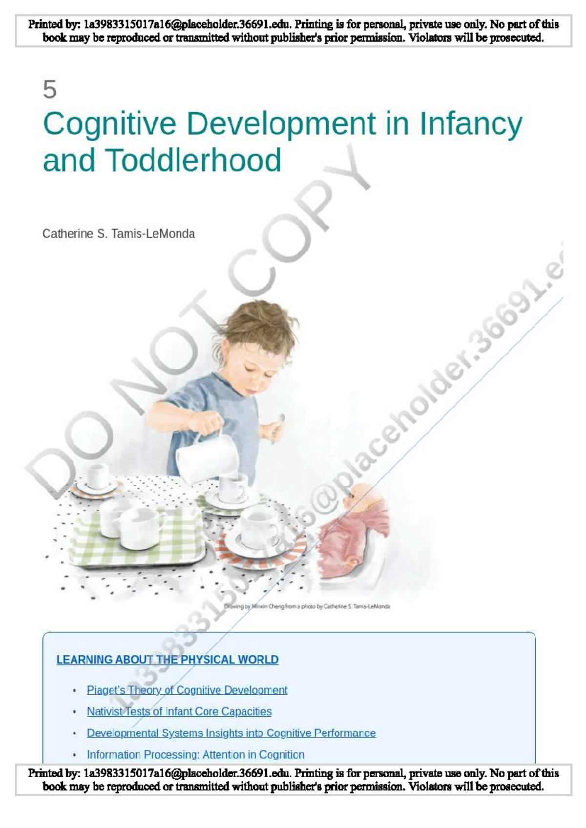 Cognitive Development in Infancy and Toddlerhood - Chapter Overview ...