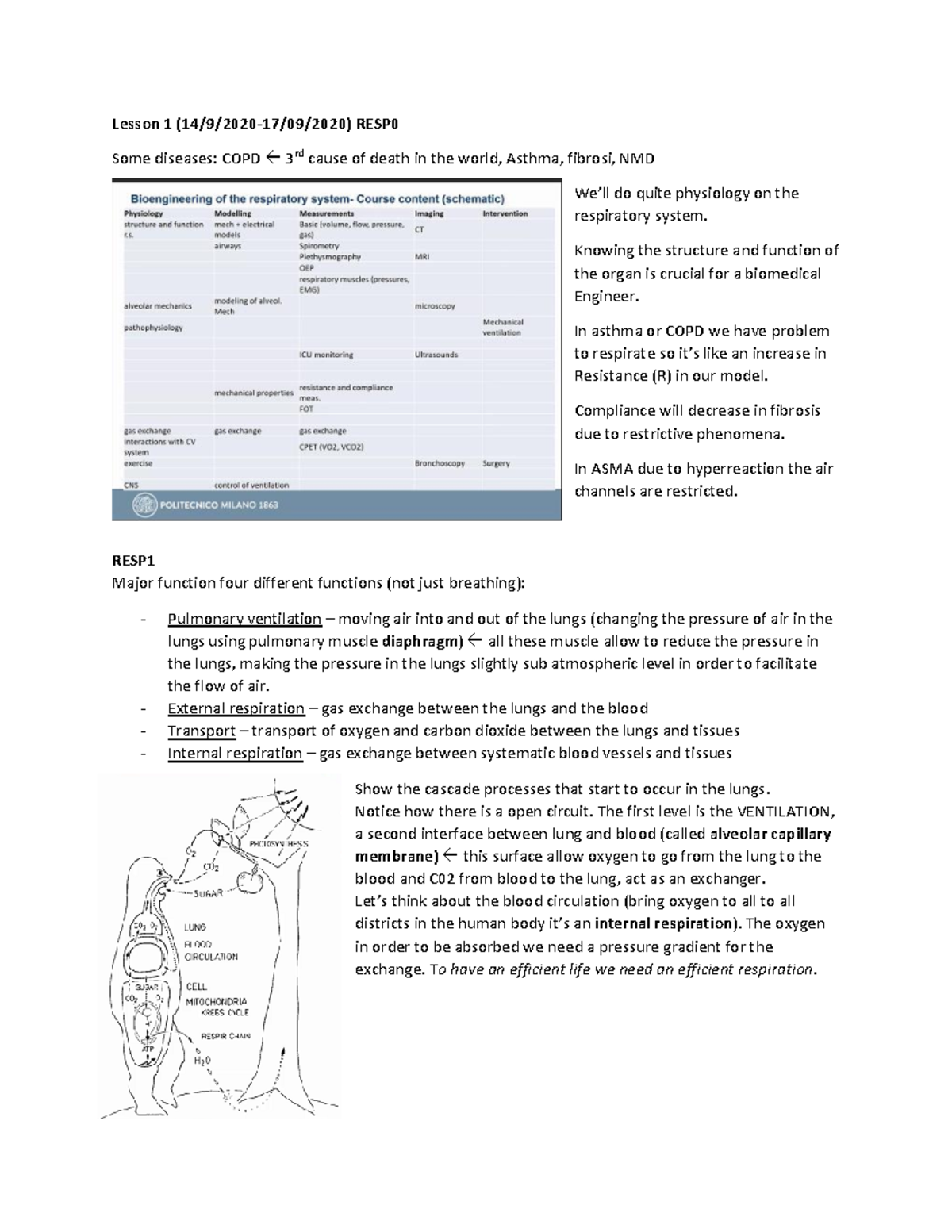 **RESP 101: Lesson Notes on the Respiratory System Function** - Studocu