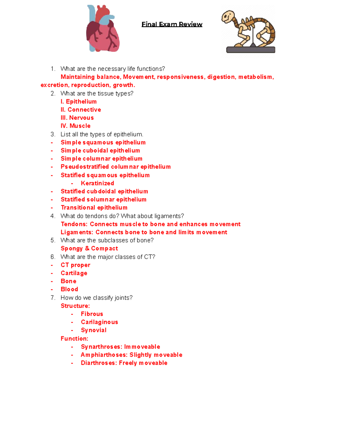 Final Exam Review: Anatomy and Physiology - Studocu