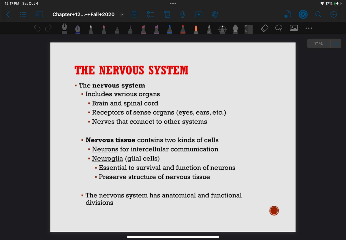 Final Exam Study Guide: The Nervous System (XYZ123) - Studocu