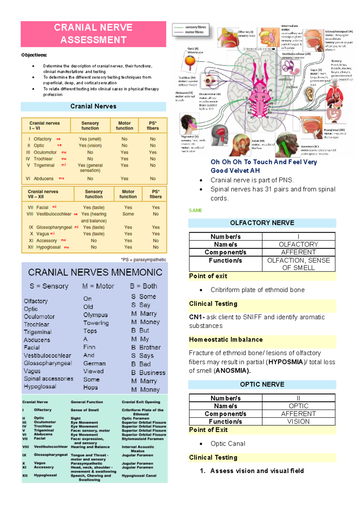 Cranial Nerve Assessment: Lecture Notes for Science (CRN 101) - Studocu