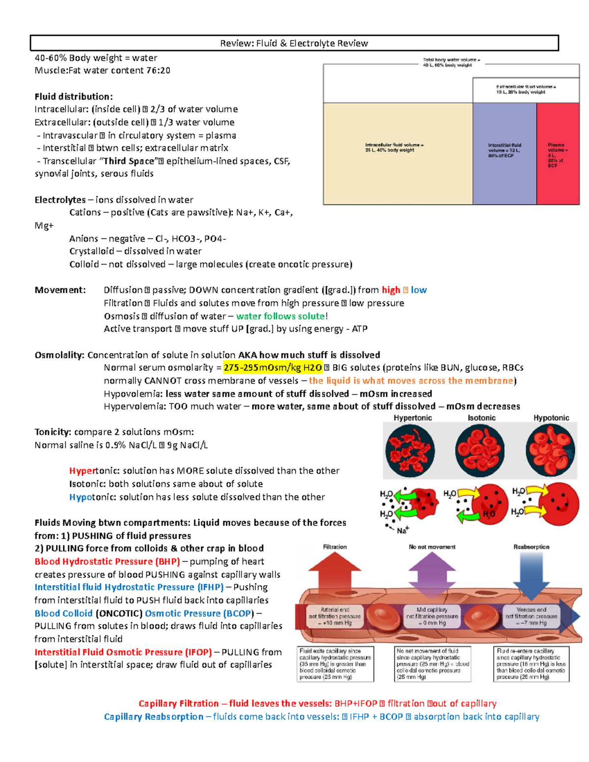 Medsurg Exam 1 Study Guide: Fluid & Electrolyte Management - Studocu
