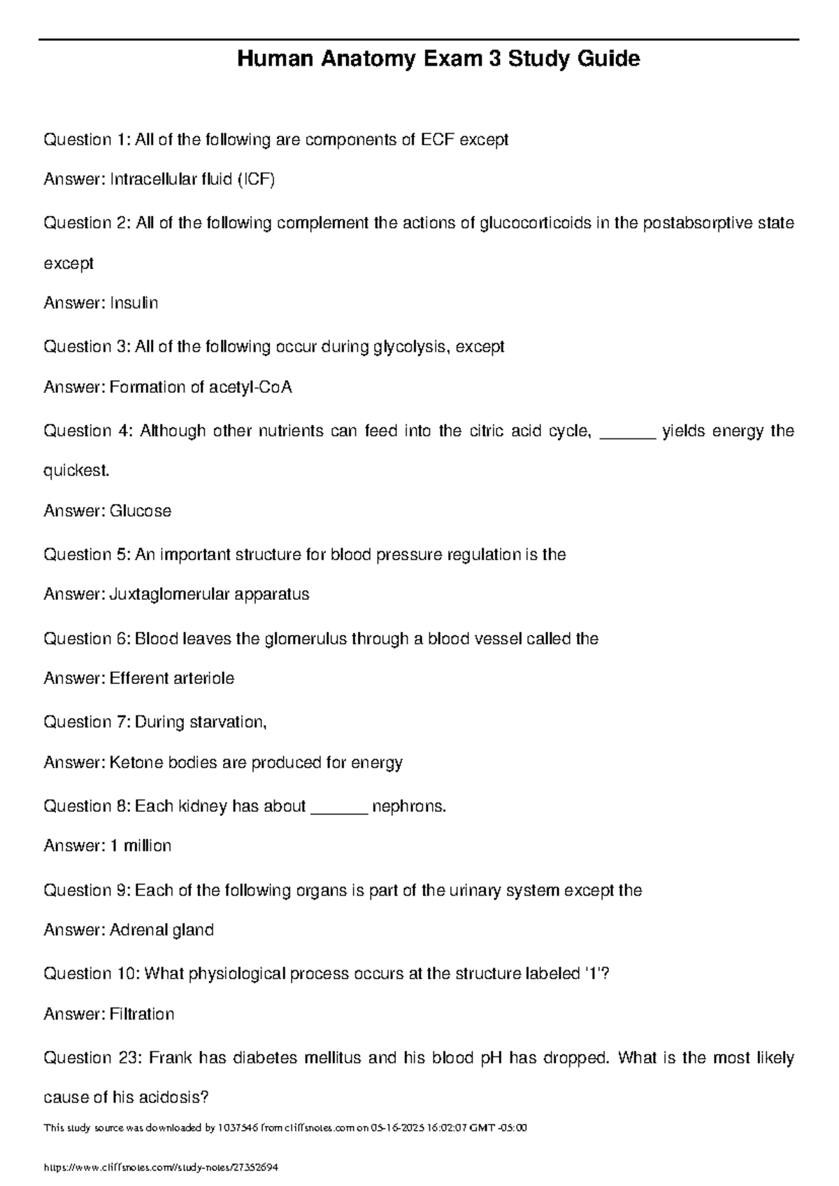 Human Anatomy Exam 3 Study Guide: Key Questions & Answers - Studocu