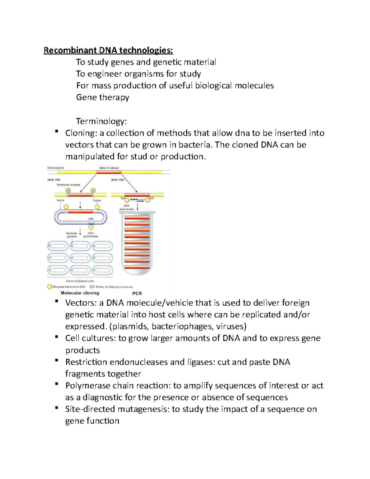 Recombinant DNA technologies - The cloned DNA can be manipulated for ...