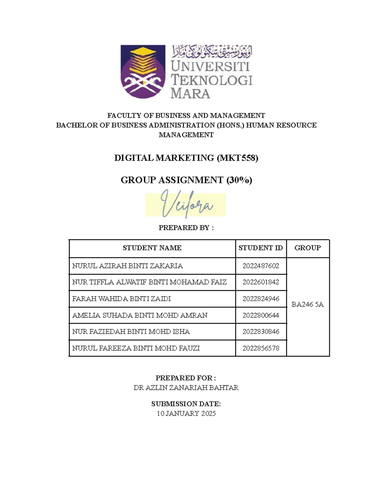 MKT558 - Group Assignment on Digital Marketing Strategies for Veilora ...