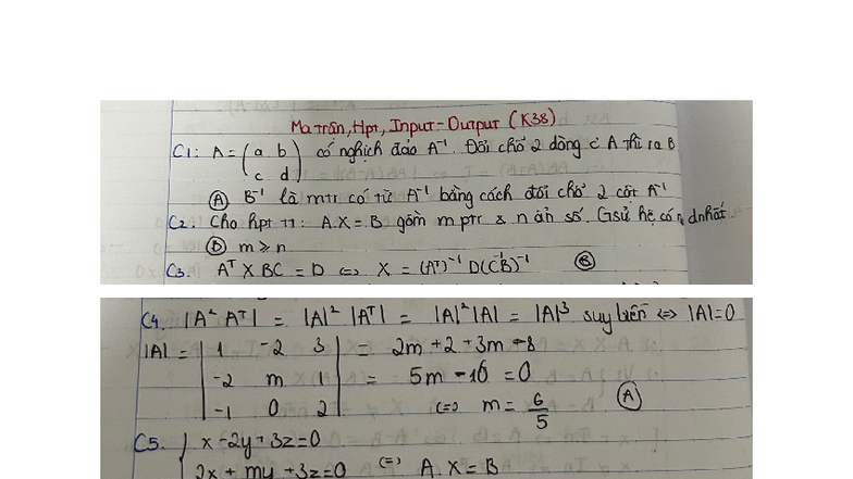 Bài tập b4 - TCC - Ma Train, Hpt, Input- Output (K38) C1: A= ( a c b d ...